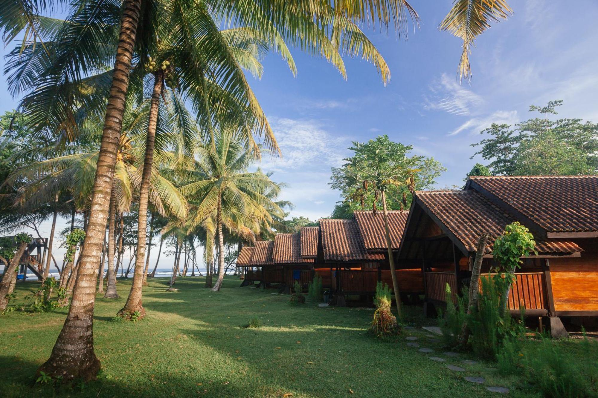 Sumatra Surf Resort Biha Екстериор снимка